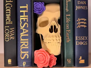 Skull & Roses Book Nook (No AMS, Swappable Roses)