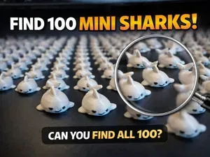 Find 100 Mini Sharks – Hidden Desk Game