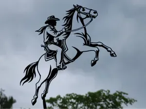 Cowboy Riding Horse 2D Wall Art
