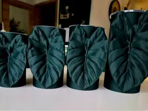 Alocasia Golden Bone self watering pot