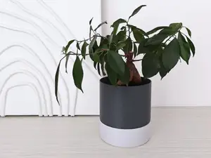 Parametric round self-watering planter