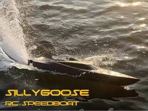 SillyGoose RC Speedboat