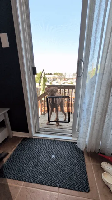 Screen Door Dog/Cat Flap (modular design) — Фото 5 из 6
