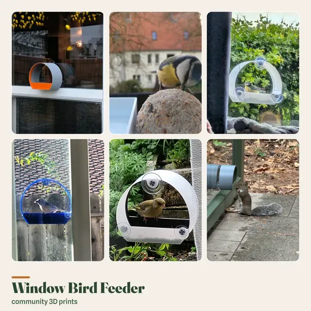 Window bird feeder — Фото 2 из 7