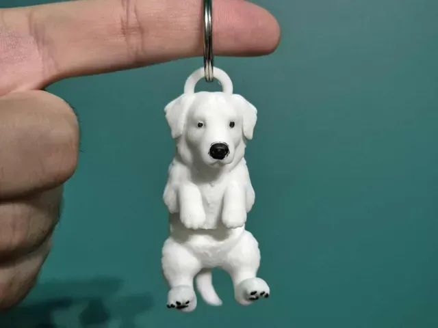 Polish Tatra Sheepdog / Owczarek Podhalanski