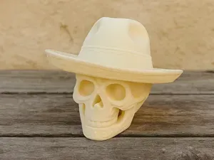 Sombrero-Schaedel – Laecheln des Wuestenwinds