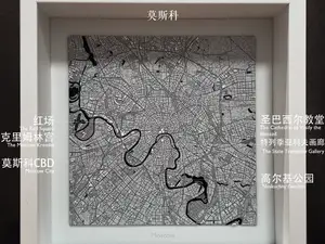 莫斯科城市肌理 Moscow Texture 1/125K