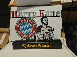 FC bayern munchen harry kane display with skyline