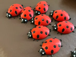 LadyBug/LadyBird