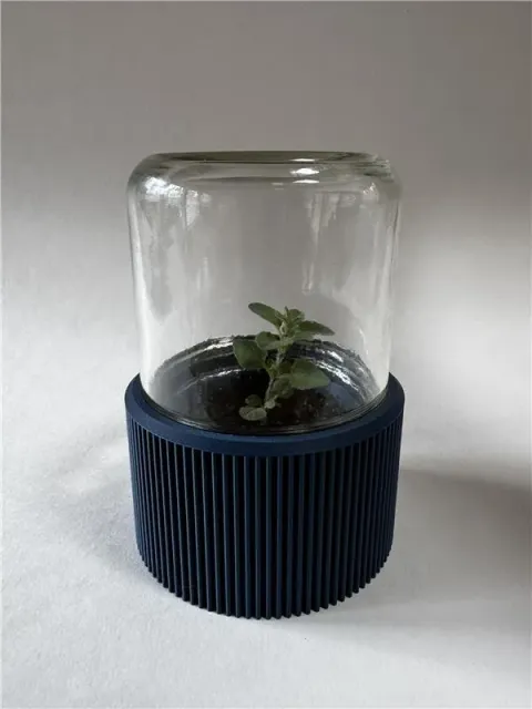 Mini Mason Jar Green House — Фото 4 из 7