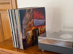 Vinyl Record Holder | Living Room Organisation