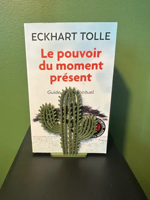 Serre-livres Cactus -SANS AMS- — Image 2 of 3