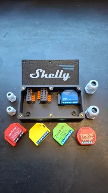 Shelly in the Box parametrisch — Фото 2 из 18