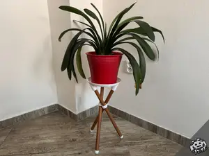 Tripod Side Table - from Wooden Dowels (22–25 mm)