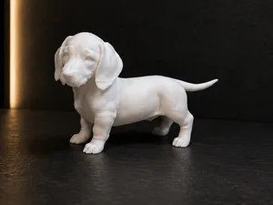 Dachshund Puppy - Dog