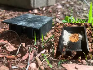 Bait Ant Trap