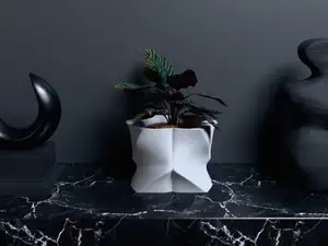 Abstract Flowerpot Untwisted – Zaha Hadid Inspired