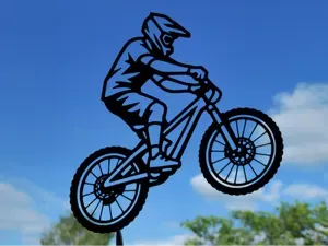 Mountain Bike Rider 2D Wall Art