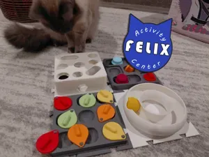 The Ball Cage - FELIX Activity Center
