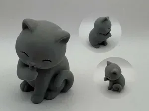 Clean Paws Cat