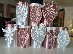 Alocasia Mini Topf Set zur Pflanzen Anzucht Set 3