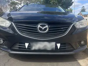 Car Fangs