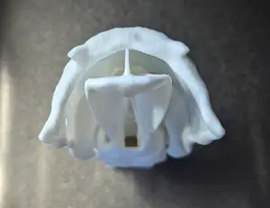 Upper Airway Model