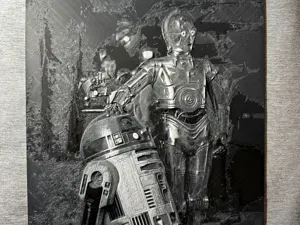 R2-D2 & C3P0 Hueforge