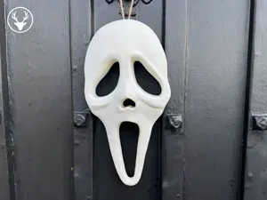 Scream Door Mask
