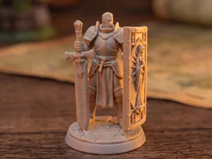 Holy Paladin - Heavy Armor Tank - Sword Variant