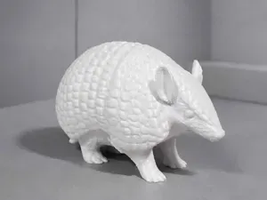 Southern Three-Banded Armadillo - Animal