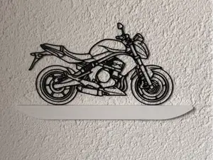 Kawasaki ER6N motorcycle wallart