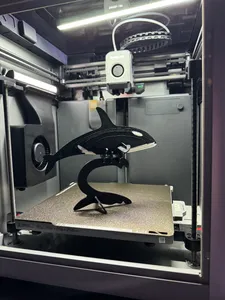 Orca Puzzle