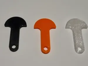 Australian Removable Trolley Token
