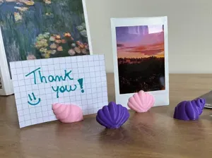 Seashell Photo & Note Stand - 2 Models