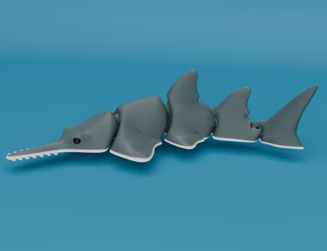 Articulated Sawfish (Carpenter shark) — Image 2 of 4