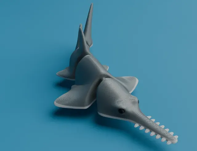 Articulated Sawfish (Carpenter shark) — Image 3 of 4