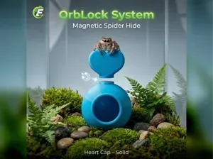 OrbLock Heart Cap – Solid