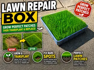 Lawn Box - Lawn Repair