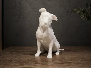 American Pitbull Terrier - Animal - Dog
