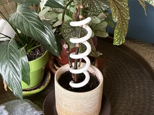 Plant Support – Simple, Adjustable, Plant-Friendly