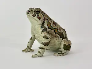 Realistic Toad