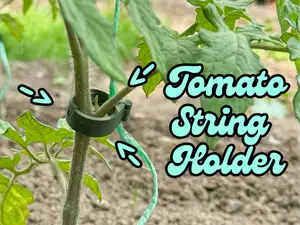 Tomato Plant Clip for Twine String Support