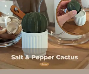 Salt & Pepper Cactus Shakers