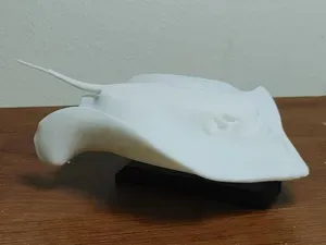 Stingray Mount