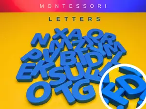 MONTESSORI ALPHABET LETTERS