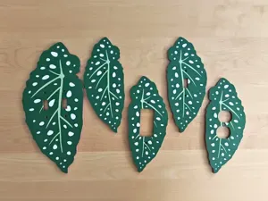 Begonia wall plates