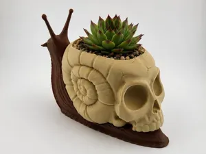 Skull Snail Planter | Gothic Succulent Pot