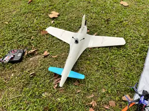 Aurora: Fixed-Wing FPV Cruiser