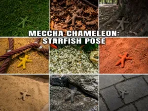 Meccha Chameleon: Starfish Pose Character